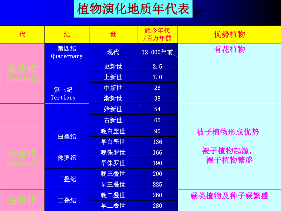 植物的进化与系统发育课件.ppt_第3页