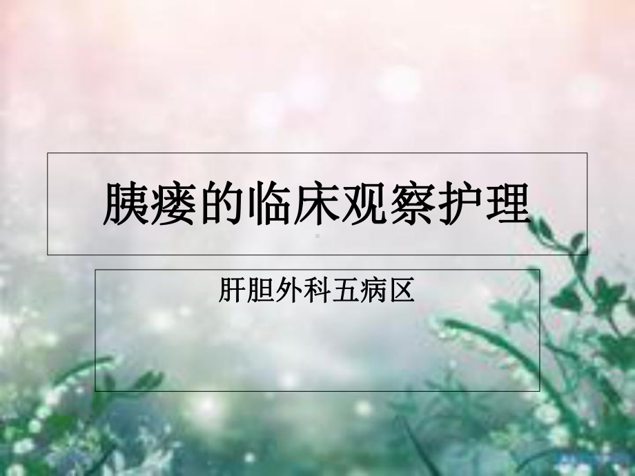 胰漏的临床观察和护理课件.ppt_第1页