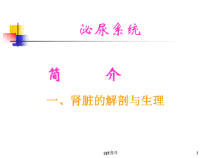 肾动态显像-课件.ppt