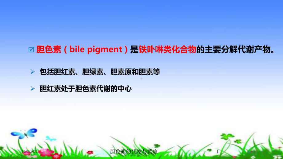 胆色素的代谢与黄疸培训课件.ppt_第1页