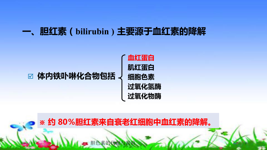 胆色素的代谢与黄疸培训课件.ppt_第2页