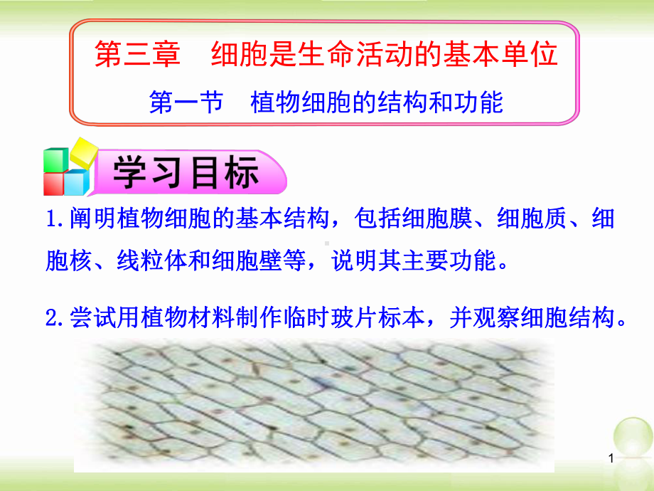 植物细胞的结构与功能教学课件.ppt_第1页