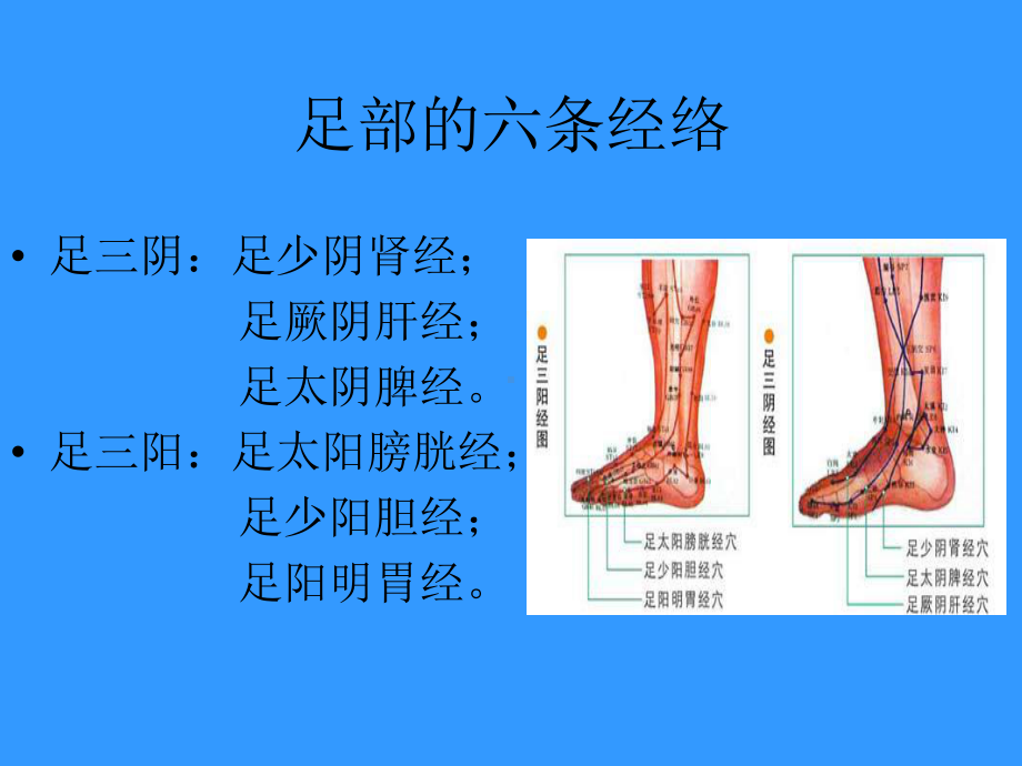 远离亚健康知识讲座课件.ppt_第3页