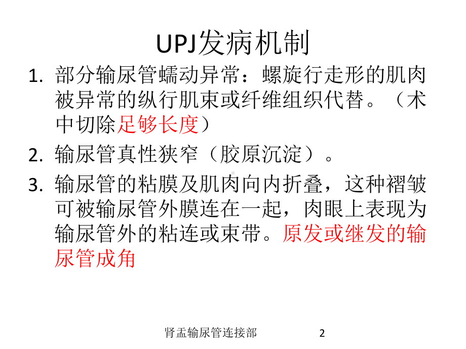 肾盂输尿管连接部培训课件.ppt_第2页