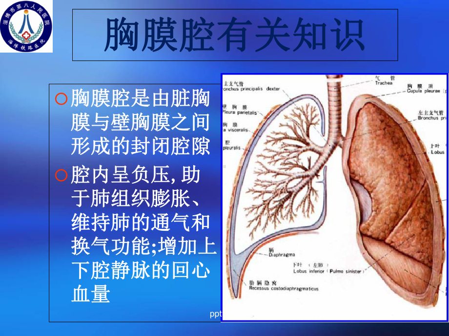 胸腔闭式引流术-课件.ppt_第3页