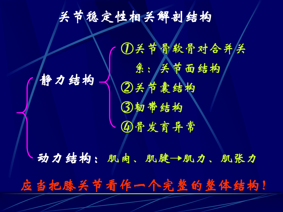 膝关节镜应用解剖概要详解课件.ppt_第3页