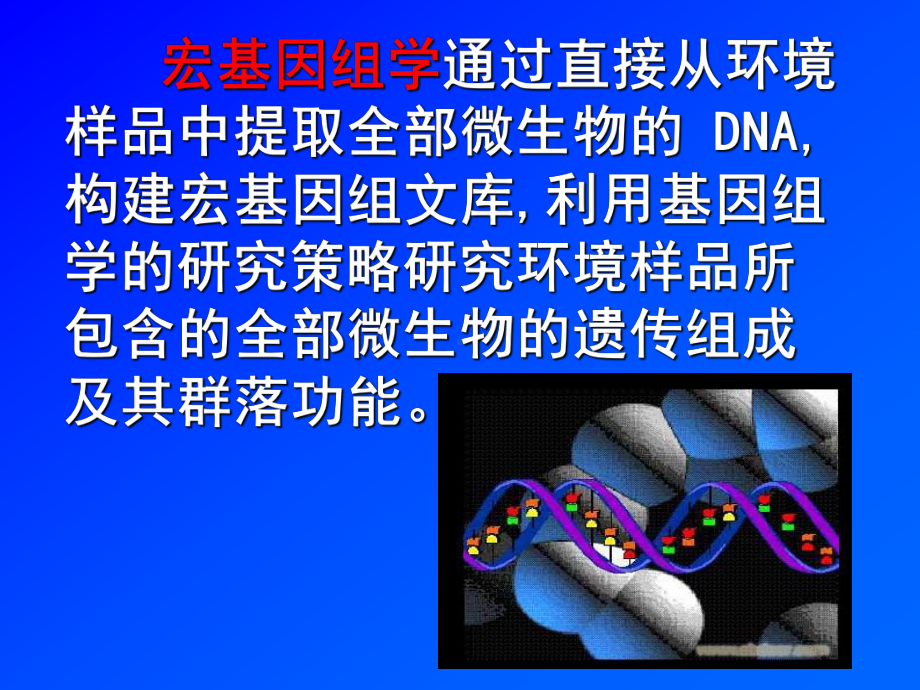 宏基因组学课件.pptx_第1页