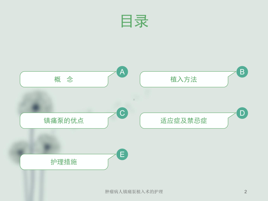 肿瘤病人镇痛泵植入术的护理培训课件.ppt_第2页