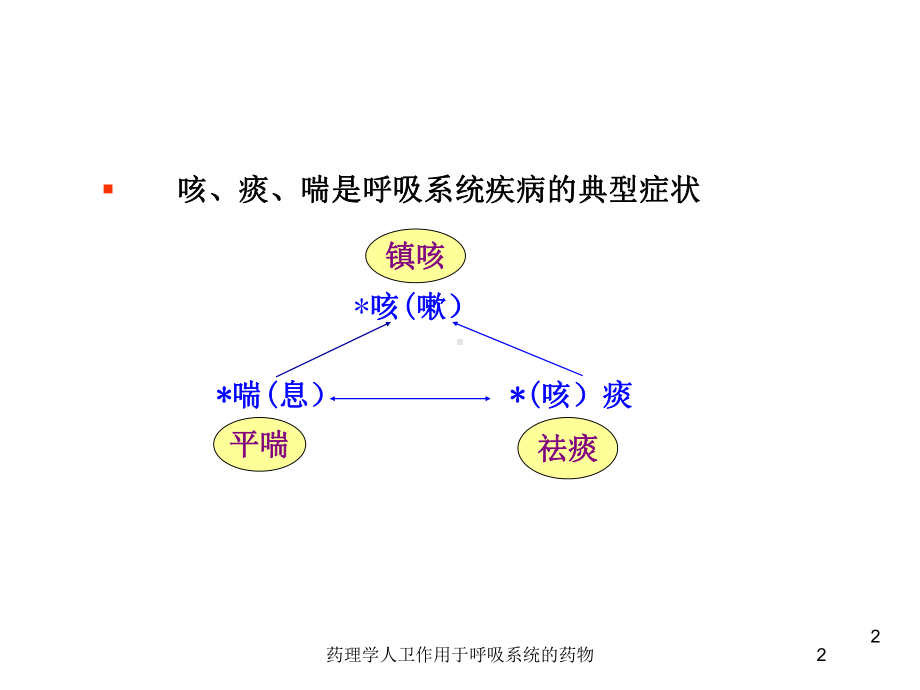 药理学人卫作用于呼吸系统的药物培训课件.ppt_第2页