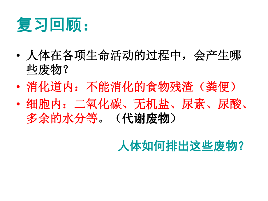 尿的形成和排出课件.ppt_第2页