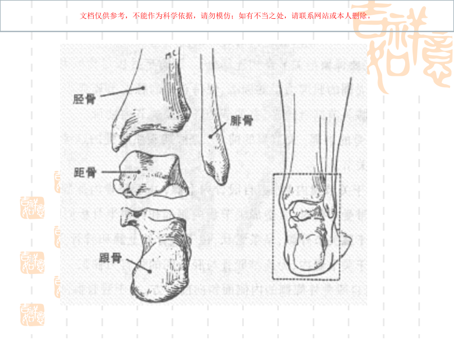 踝关节运动学课件.ppt_第3页