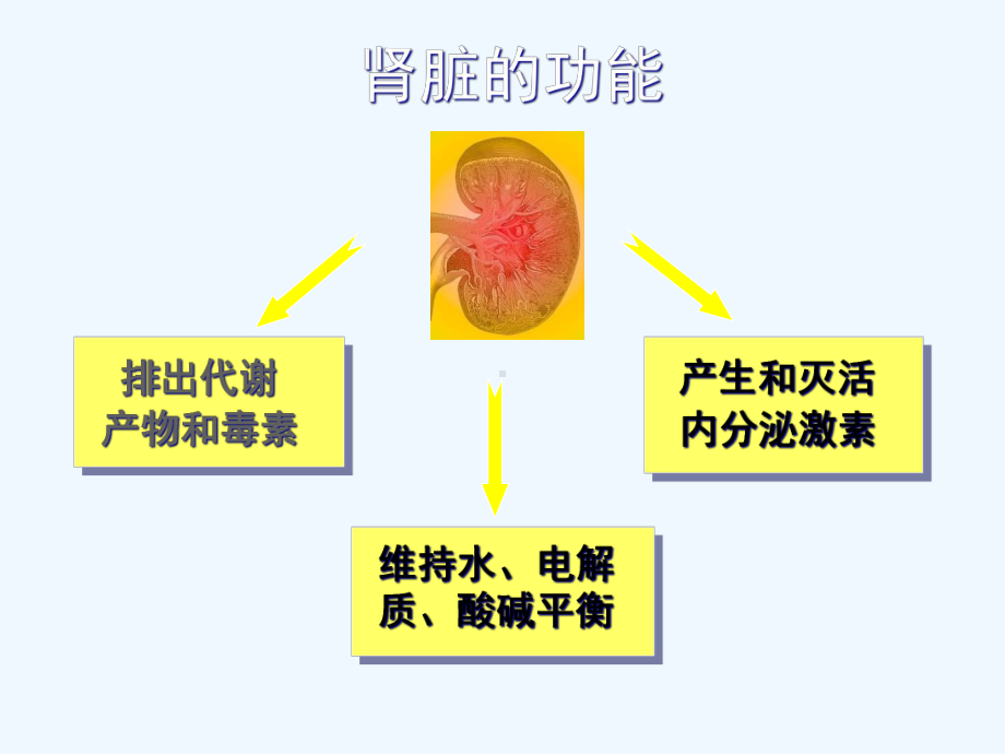 肾衰竭的一体化治疗课件.ppt_第2页