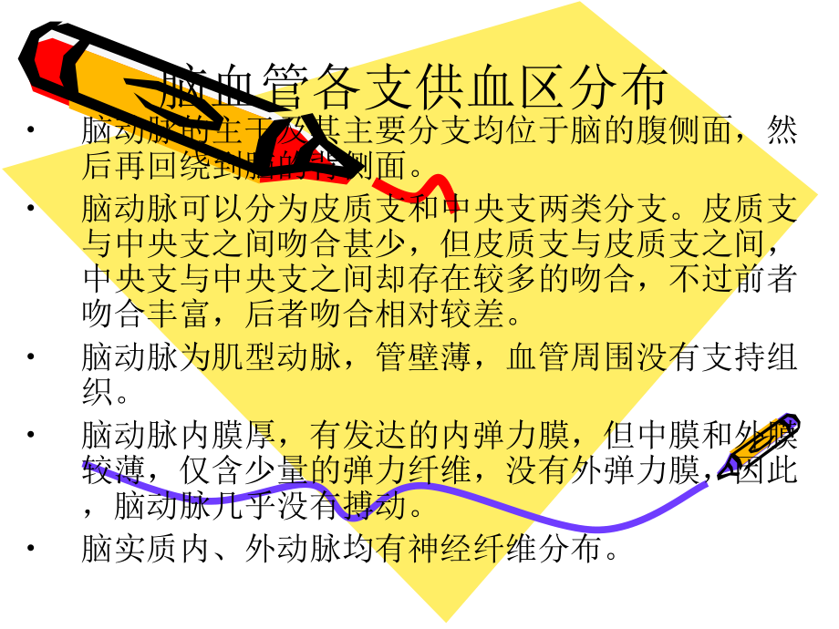 脑血管各支供血区分布-课件.ppt_第3页