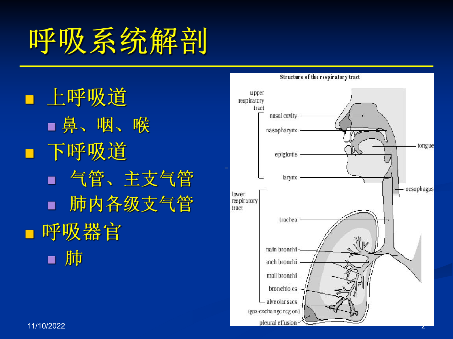 辅助呼吸技术课件.pptx_第2页