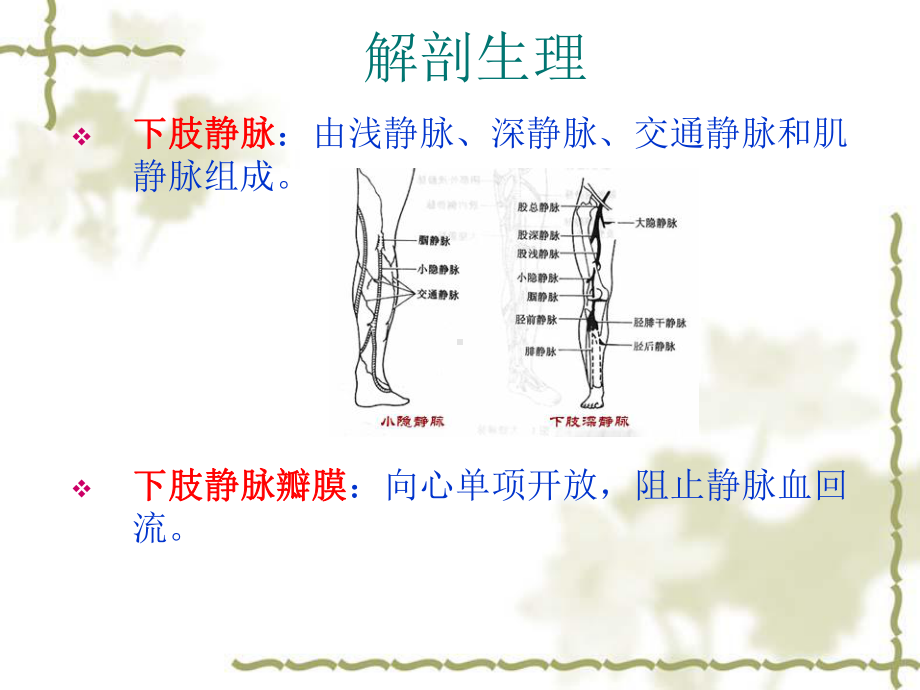 静脉曲张课件.pptx_第3页