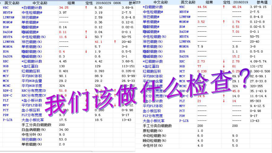 诊断学-骨髓细胞学检查课件.ppt_第3页