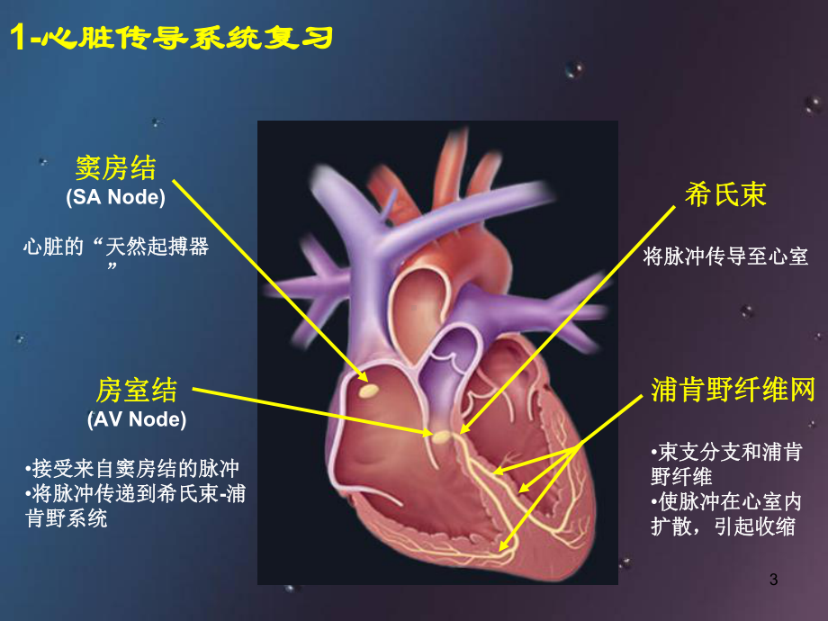 起搏器植入及术后护理医学课件.ppt_第3页