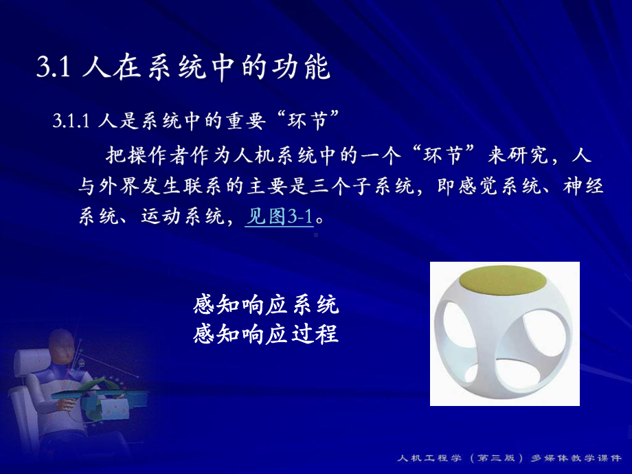 人体感知与运动系统课件.ppt_第3页