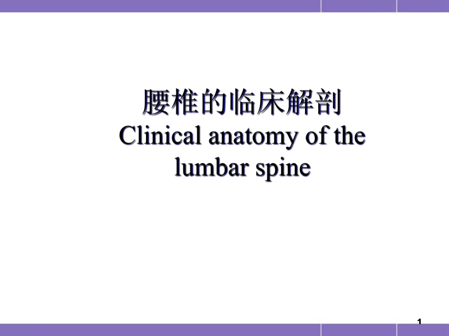 腰椎血管神经解剖课件.pptx_第1页