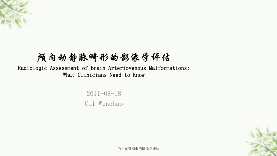 颅内血管畸形的影像学评估课件.ppt_第1页