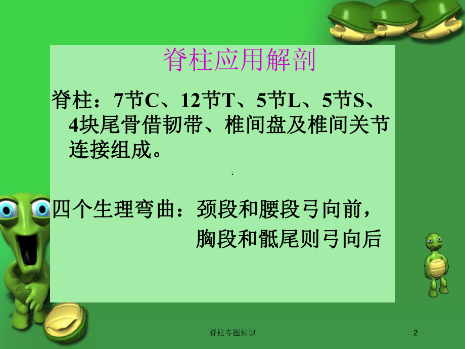 脊柱专题知识培训课件.ppt_第2页