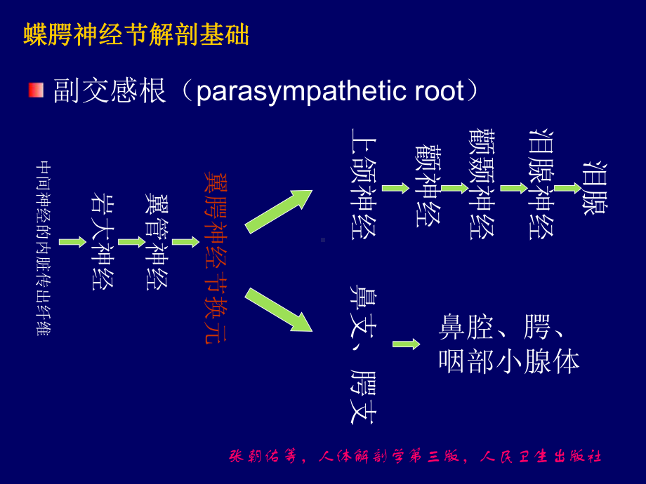 蝶腭神经节射频热凝治疗课件.pptx_第3页