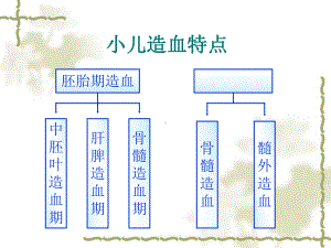 造血系统疾病患儿的护理课件.pptx