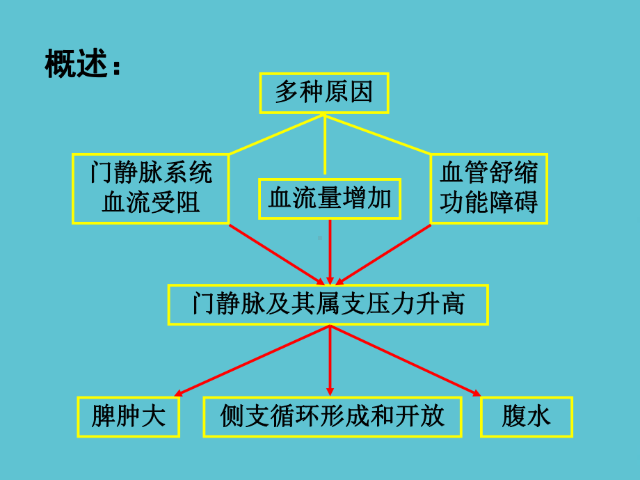 门静脉高压症课件-2.ppt_第3页