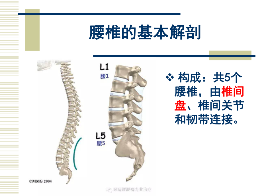 如何保护你的腰课件.ppt_第2页