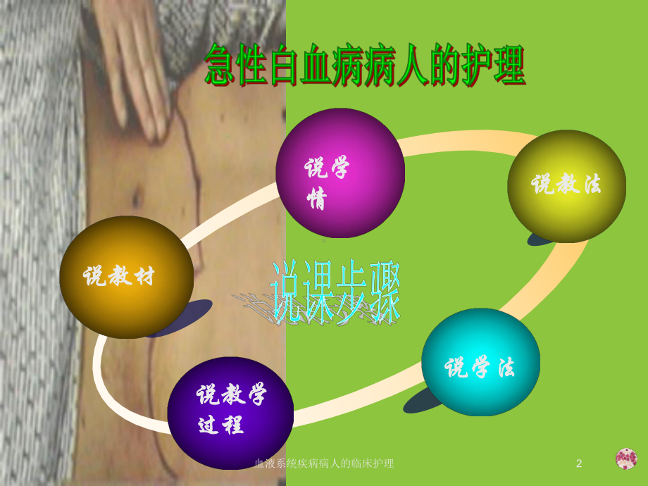 血液系统疾病病人的临床护理培训课件.ppt_第2页