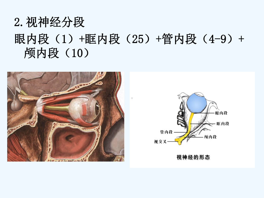 视神经病及视路疾病课件.ppt_第3页