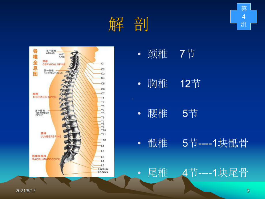 腰椎滑脱切开复位内固定术课件.ppt_第3页