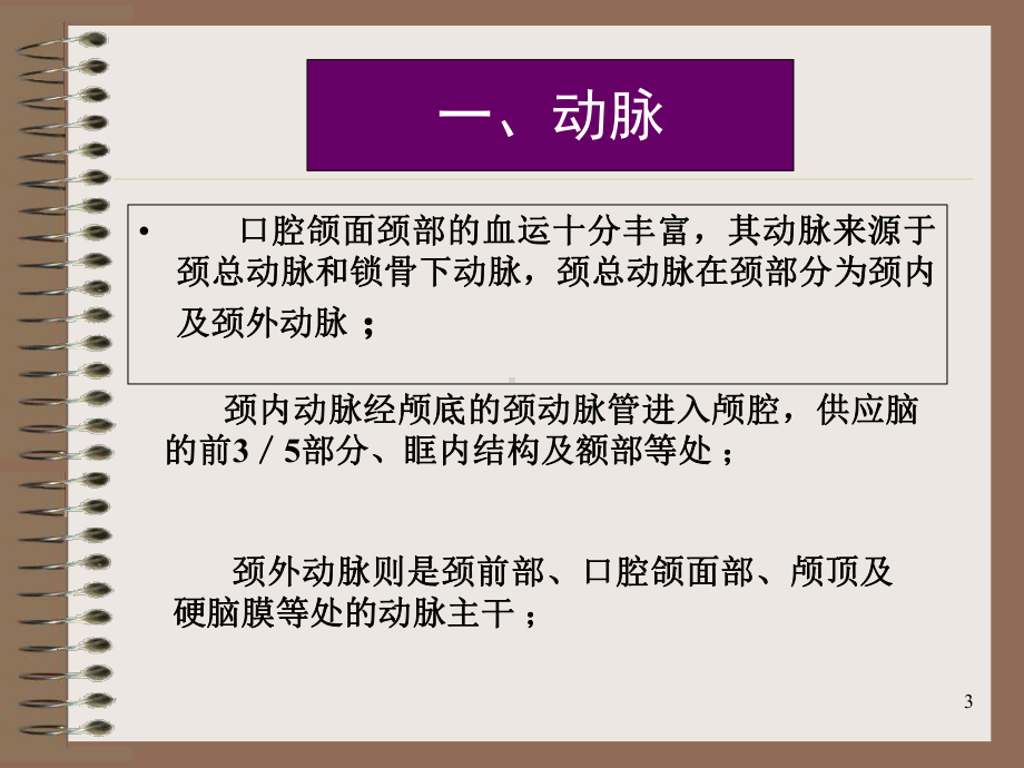 面颈部的重要血管学习课件.ppt_第3页