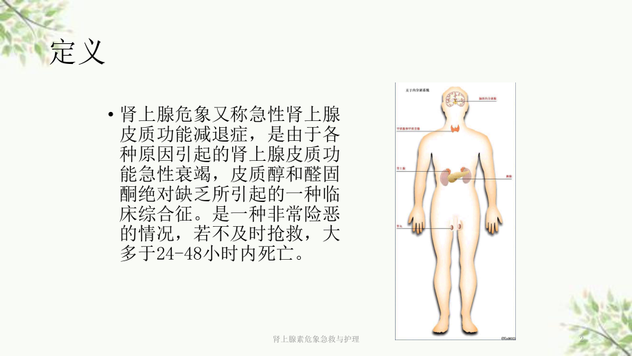 肾上腺素危象急救与护理课件.ppt_第2页