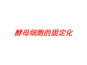 酵母细胞的固定化培训课件.ppt