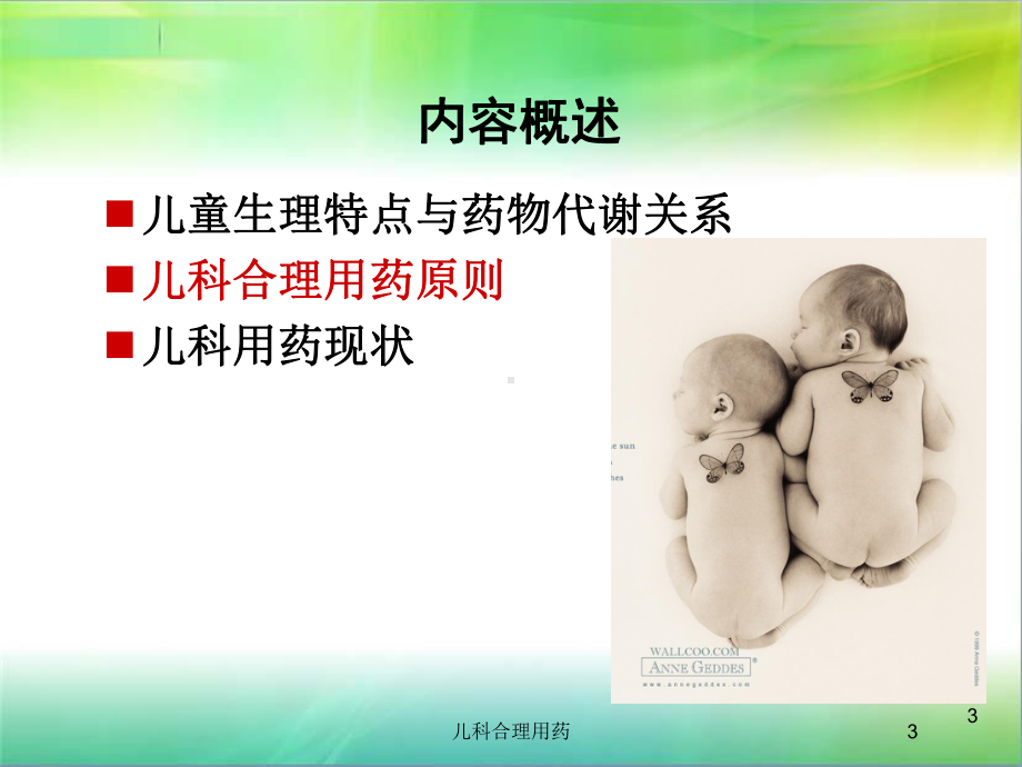 儿科合理用药培训课件2.ppt_第3页