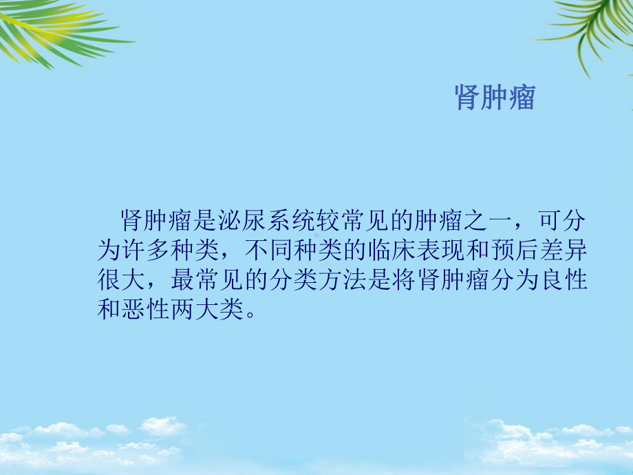 肾部分切除术后的护理最全课件.ppt_第2页