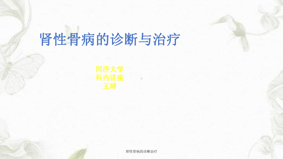 肾性骨病的诊断治疗课件.ppt_第1页