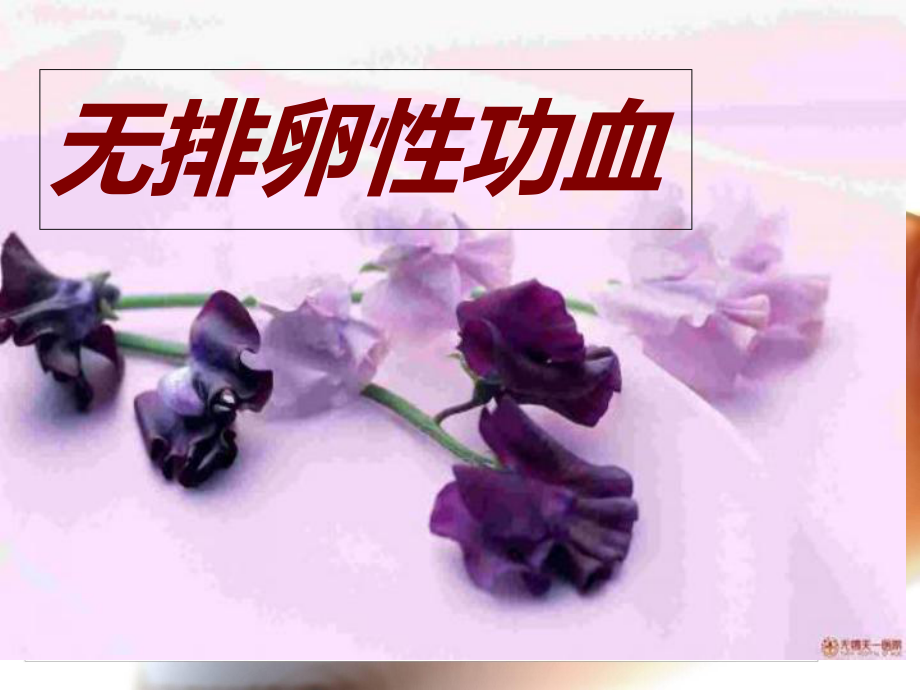 无排卵性功血详解课件.ppt_第1页