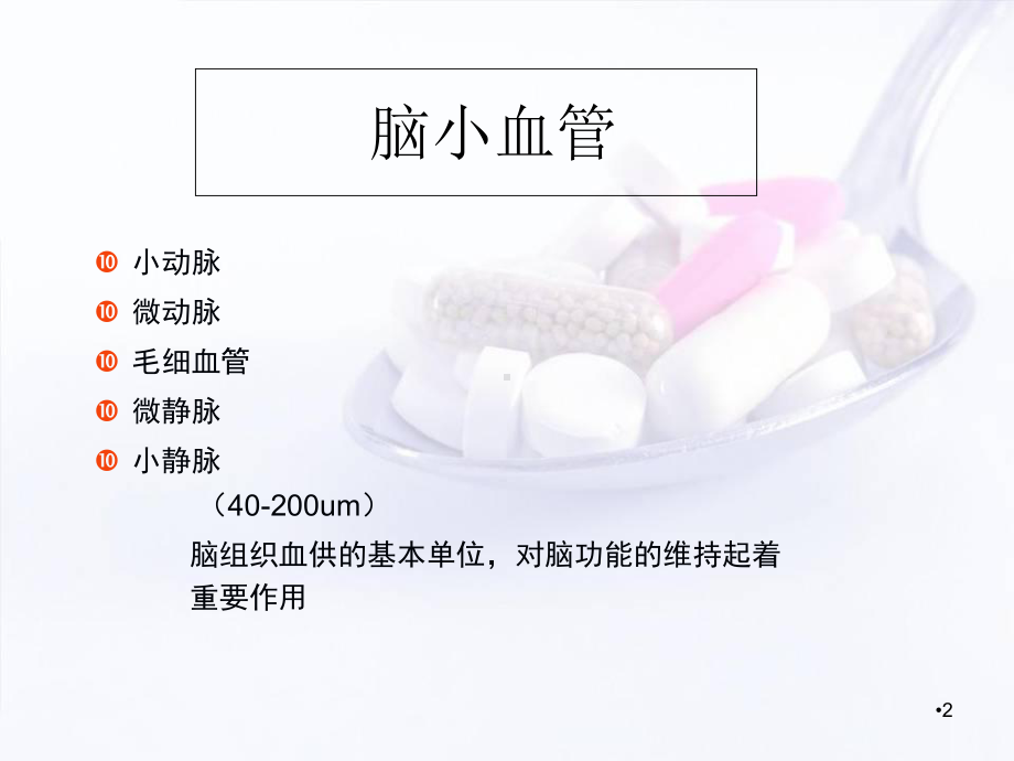 脑小血管病影像学习课件.ppt_第2页