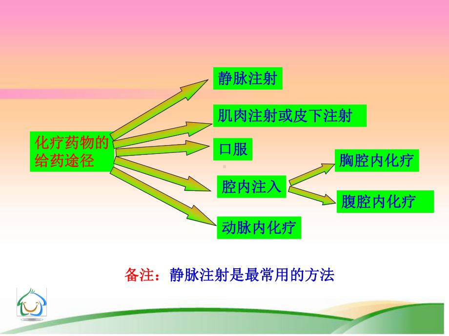 肿瘤化疗病人的护理课件.ppt_第3页