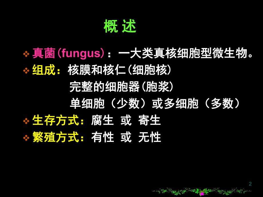 临床真菌课件.ppt_第2页