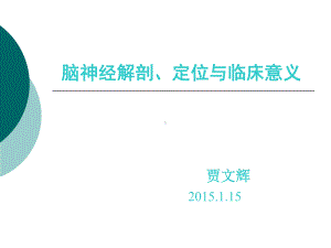 脑神经解剖定位课件.ppt