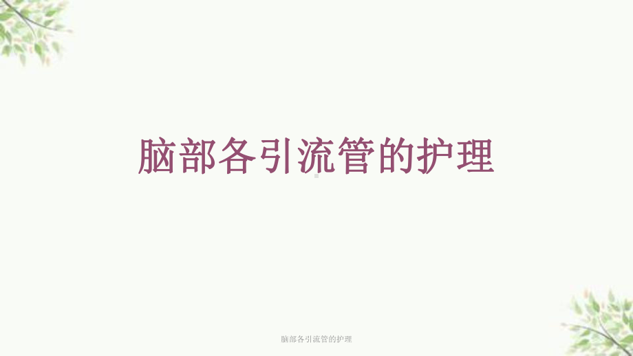 脑部各引流管的护理课件.ppt_第1页