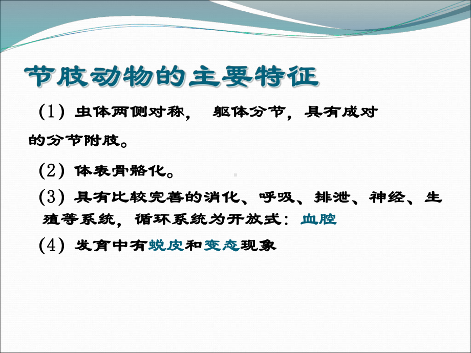 蚊类医学节肢动物的危害教学课件.ppt_第3页