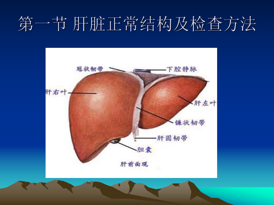 超声检查肝脏课件.pptx_第2页