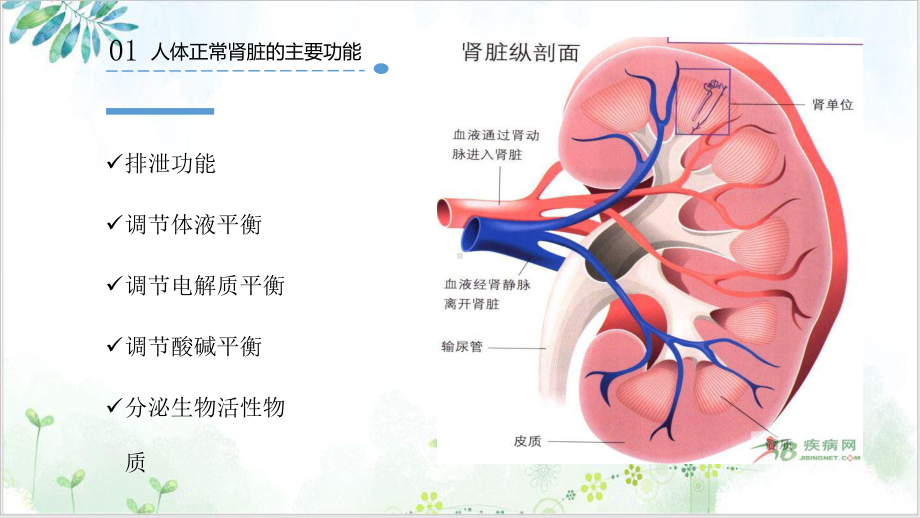 肾透析病人的护理优质课件.pptx_第2页