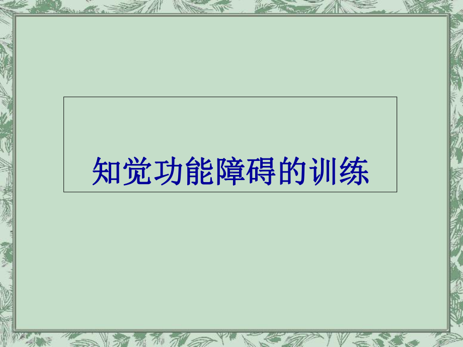 知觉与认知功能的训练-课件.ppt_第2页