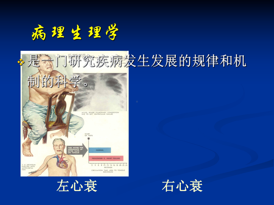 病理生理学与病理学课件.ppt_第3页