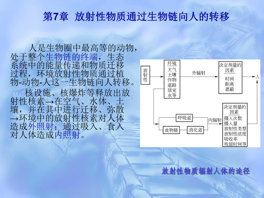 核环境监测与评价-第7章-放射性物质通过生物链向人的转移课件.ppt_第1页